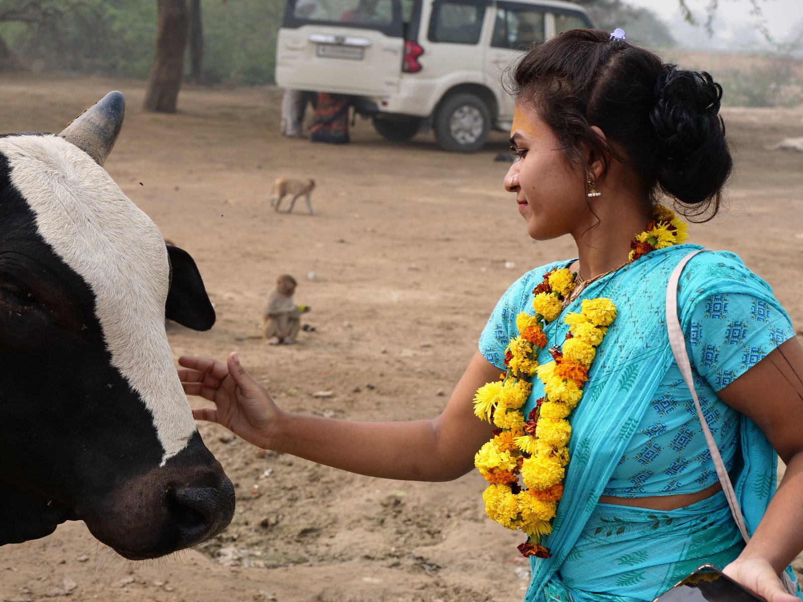  204 Gopashtami Radha kunda Govardhan 19.11.04